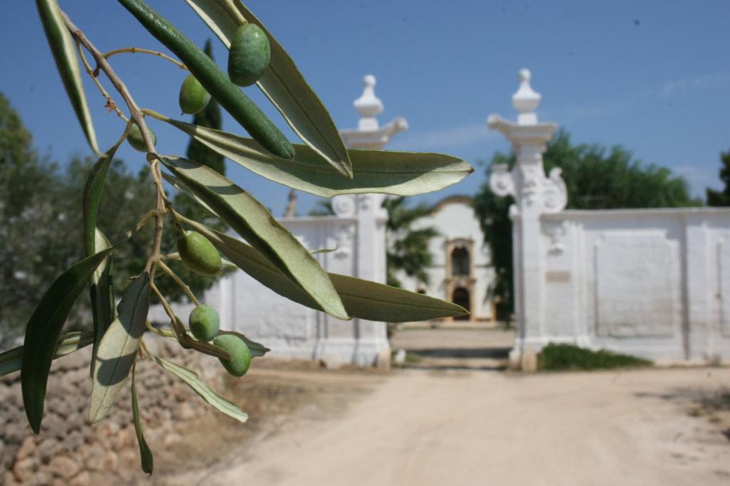Masseria Maccarone Fasano Exteriér fotografie