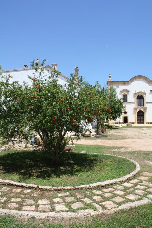 Masseria Maccarone Fasano Exteriér fotografie