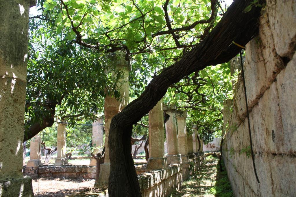 Masseria Maccarone Fasano Exteriér fotografie