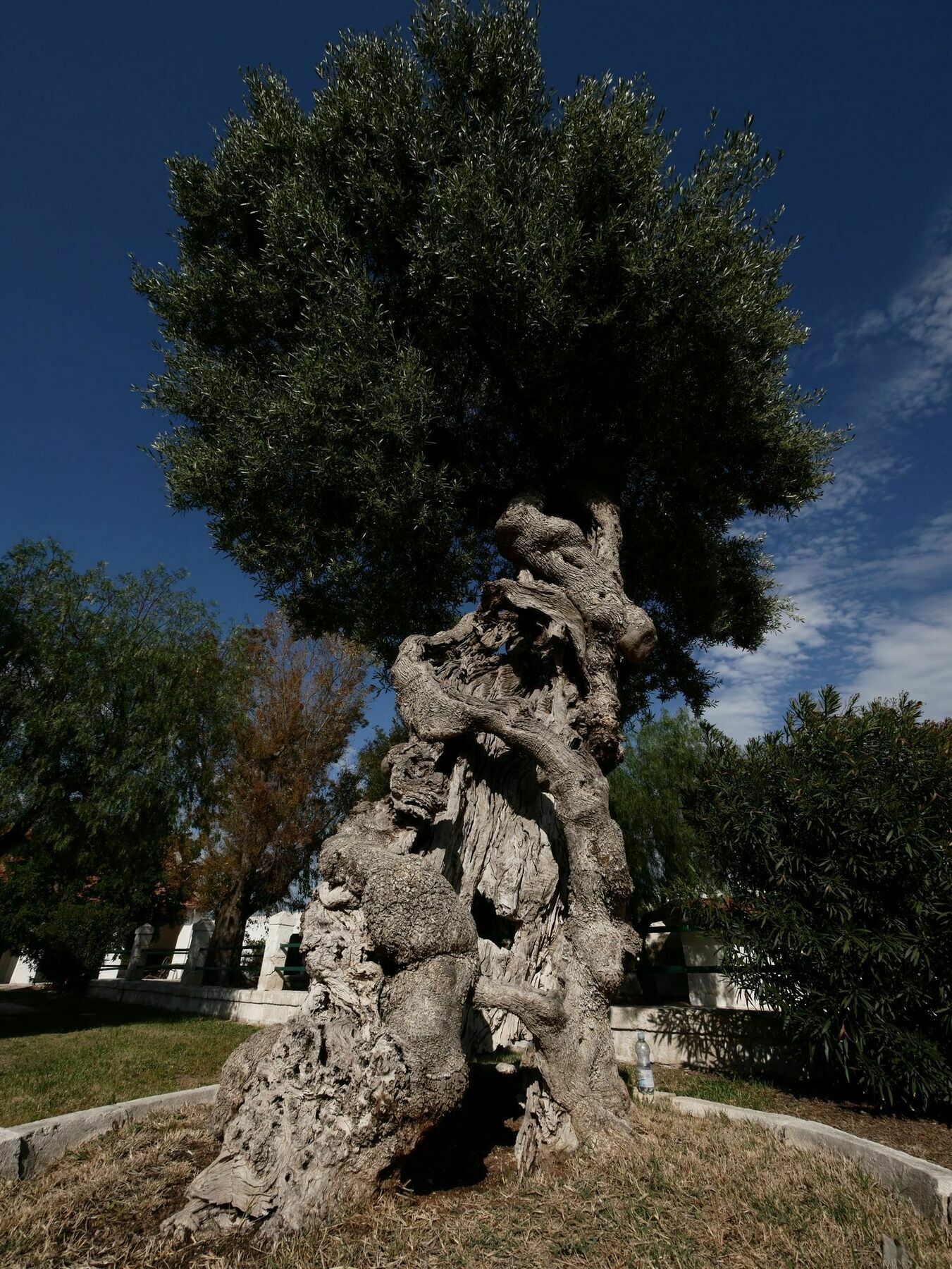 Masseria Maccarone Fasano Exteriér fotografie